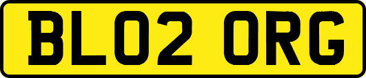 BL02ORG