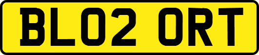 BL02ORT