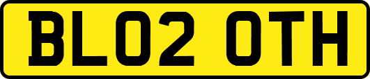 BL02OTH