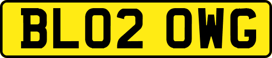 BL02OWG
