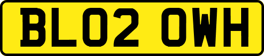 BL02OWH