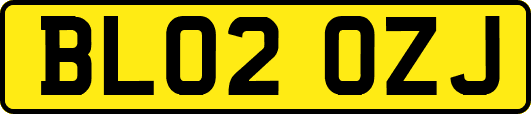 BL02OZJ