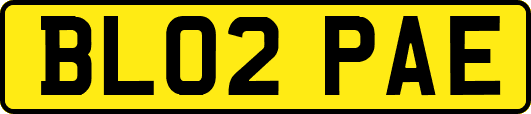 BL02PAE