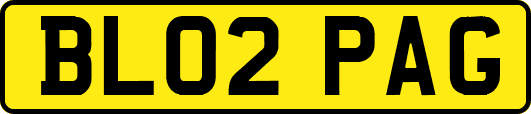 BL02PAG