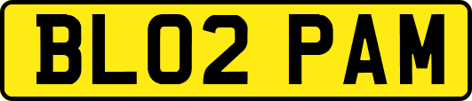 BL02PAM