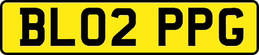 BL02PPG