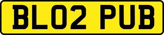 BL02PUB