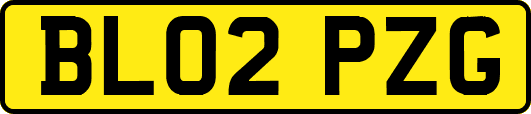 BL02PZG