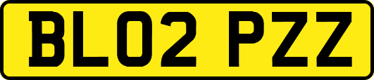 BL02PZZ