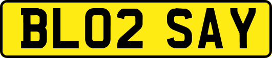 BL02SAY