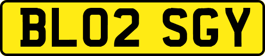 BL02SGY
