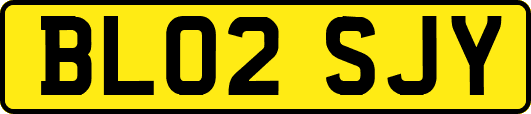 BL02SJY