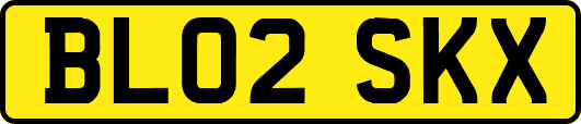 BL02SKX