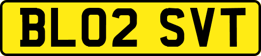 BL02SVT