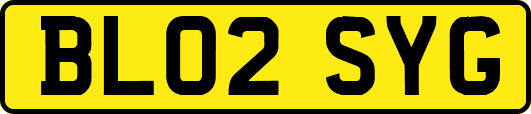 BL02SYG