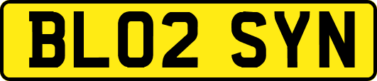 BL02SYN