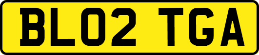 BL02TGA
