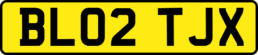BL02TJX