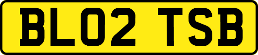 BL02TSB