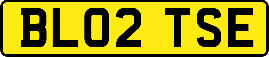 BL02TSE
