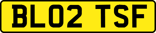 BL02TSF