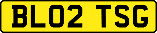 BL02TSG