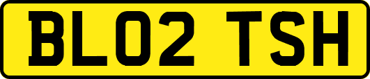 BL02TSH