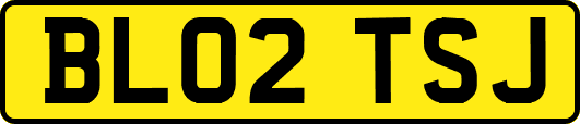 BL02TSJ