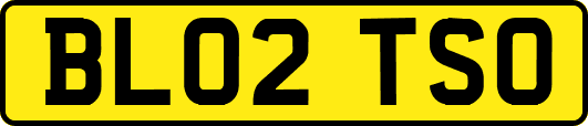 BL02TSO