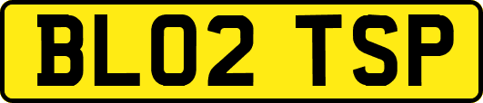 BL02TSP