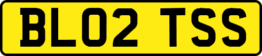 BL02TSS