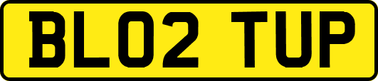 BL02TUP