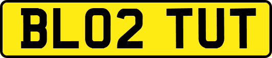 BL02TUT