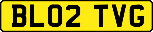 BL02TVG