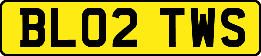 BL02TWS