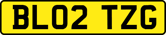 BL02TZG