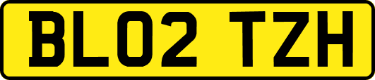 BL02TZH