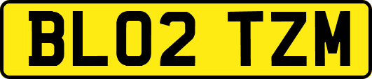 BL02TZM