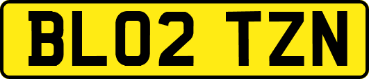 BL02TZN