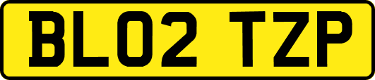 BL02TZP