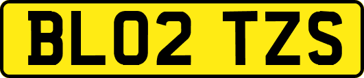 BL02TZS