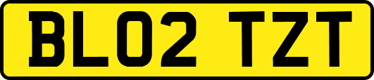 BL02TZT