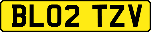 BL02TZV