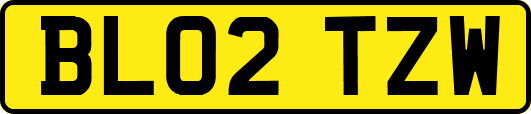 BL02TZW