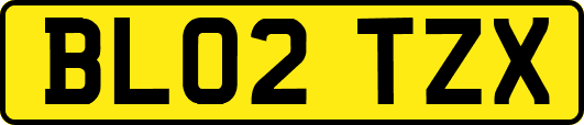 BL02TZX