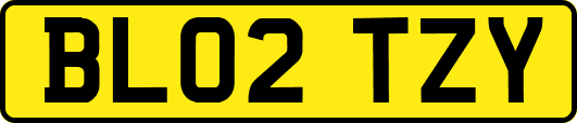 BL02TZY