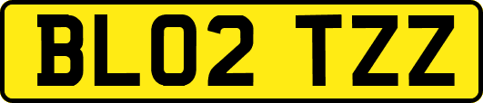 BL02TZZ