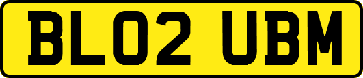 BL02UBM