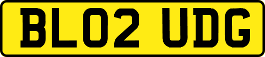 BL02UDG