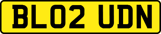 BL02UDN